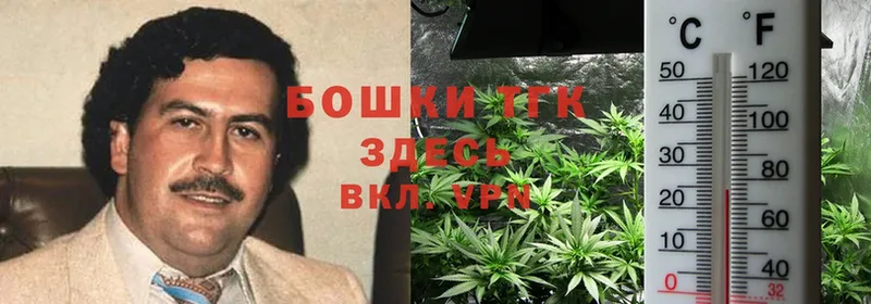 как найти закладки  Людиново  Конопля THC 21% 